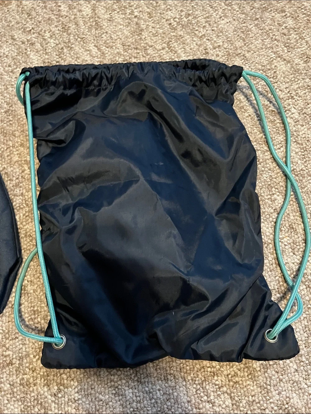 Thirty One Cinch Sac and Thermal - Turtles